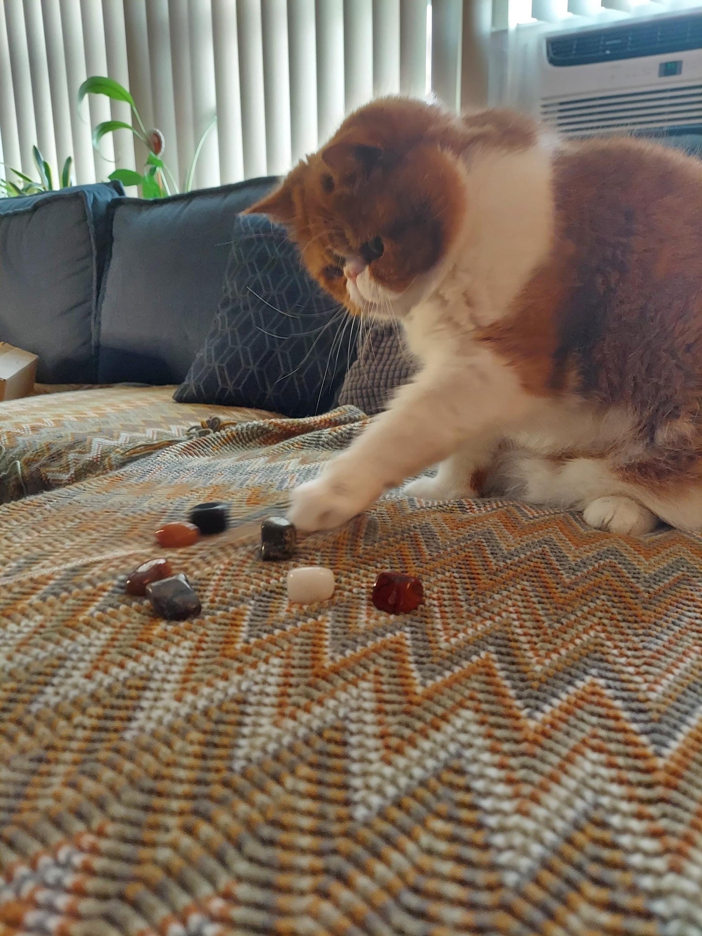 Cat Picked Crystal Necklace: Personalized Mystery Gem