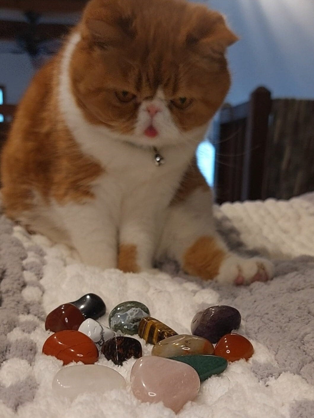 Cat Picked Crystal Necklace: Personalized Mystery Gem