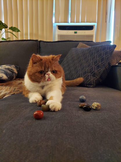 Cat Picked Crystal Necklace: Personalized Mystery Gem